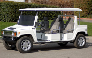 affordable golf cart rental, golf cart rent palm beach gardens, cart rental palm beach gardens